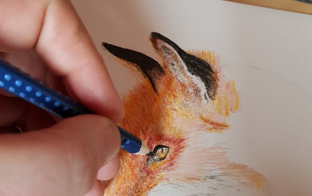 Mes dessins animaliers