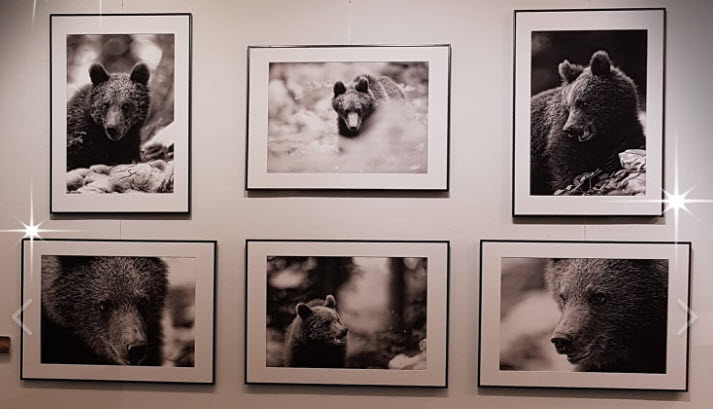 Exposition Nature en Scène 2018