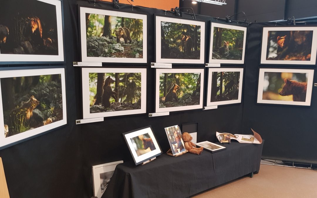 Retour sur le Salon Photo de la Wantzenau