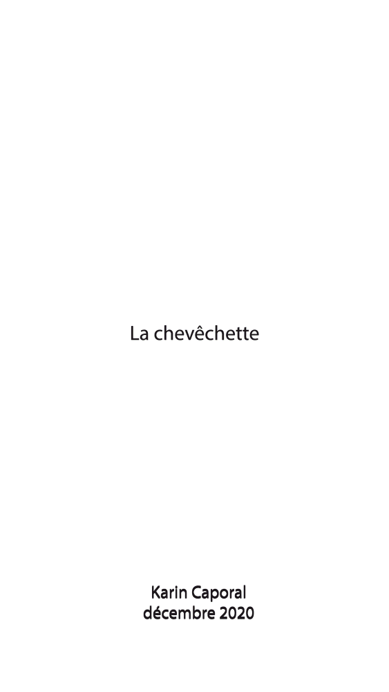 animation dessin chevêche-gif1 animation dessin chevêche